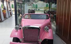  Sujimoto Residences (MacDonald 1 Bedrooms)