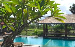 Suly Ubud Retreat & Garden Cottages