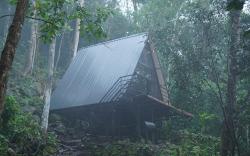 Monkeys Paw Resort Munnar