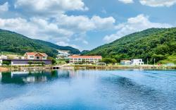 Glamdog Dog Pension Tongyeong Branch