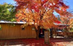 RITA'SRANCH MinamiKaruizawa