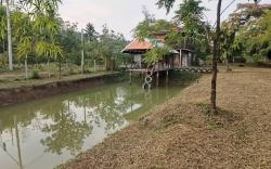 ตัวเอ้ แคมปิ้ง