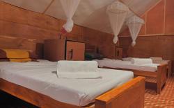 Elephant point tree house