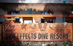Side-Effects Dive Resort Dauin