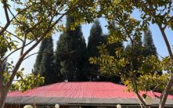 Dilpali Home Cum Farm stay