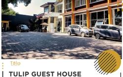 Tulip Guest House
