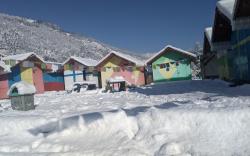Creekside Camps, Camp in Manali, Heart of Manali