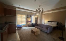 Spacious Studio Apartment with Kitchen 