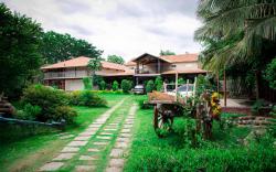 Wild Valley Mountain Bear Retreat