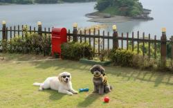 Yeosu Greenhouse Pension