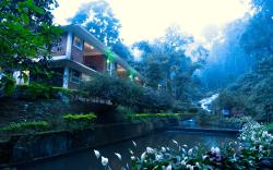 Falling Waters Resort