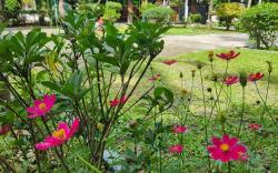 Jp Business Ventures