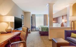 Comfort Inn & Suites Schenectady -Scotia