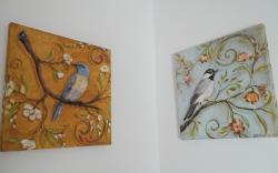 Naple Stays Spectrum - Shades of Comfort