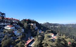 Lords Grey near Mall Road