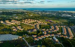 Camphortree Hotel&Resort 