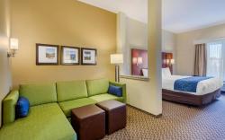 Comfort Suites Burlington near I-5