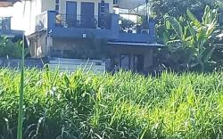 Uda house saba beach 2