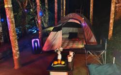 Nature Escape: Cozy Tent Retreat Riverside