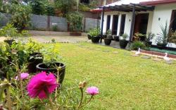 Arowana resort 
eat and relax like a home