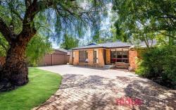 Welcome to “The Nest”