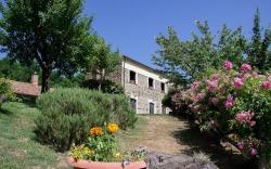 La Rosa Nel Bicchiere