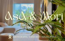 Asa & Mori - Japandi @ Emerald Avenue, Brinchang