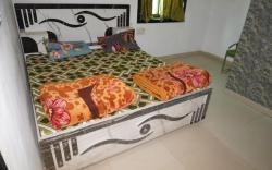 Jaipur Hotel and Guest House