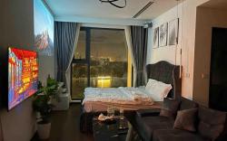 Studio, 1 King Size Bed, projector