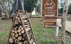 ชูบีปาย