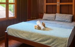 Blue monkey - Bouldering Guesthouse