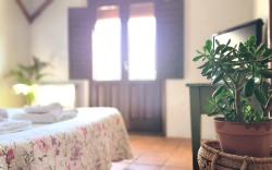 El Botánico Casa Rural