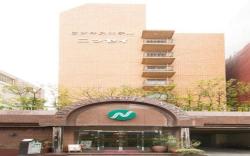 Business Hotel Nissei