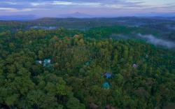 The Woods Resorts Wayanad