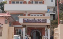 The Sparkling Turtle Backpackers Hostel