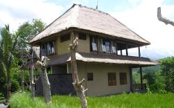 Kubu Tani