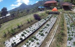 Bale Sembahulun Cottages and Tent