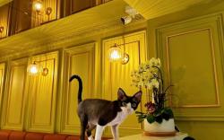 西區的1臥室獨棟住宅 - 平方公尺/2間專用衛浴