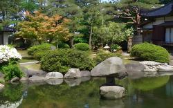 Tanakaya