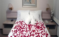 Alta Reggia Plaza Hotel