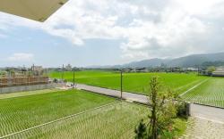 雲庭民宿 Yunting B&B 吉野樱 四人房