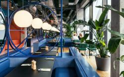 The Social Hub Vienna