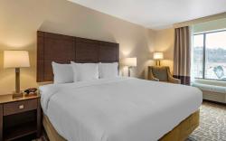 Comfort Inn & Suites Pittsburgh-Northshore
