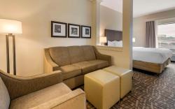 Comfort Inn & Suites Pittsburgh-Northshore