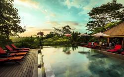 Jungle Retreat by Kupu Kupu Barong