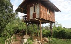 Sigiriya Forest View