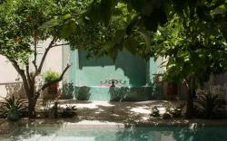 Riad Emberiza Sahari
