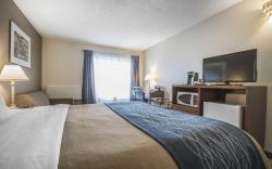Comfort Inn