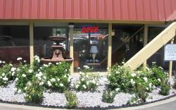 Travelodge by Wyndham Red Bluff South of Redding