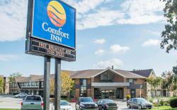 Comfort Inn